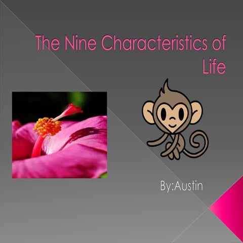 The Nine Characteristics of Life | PPTX