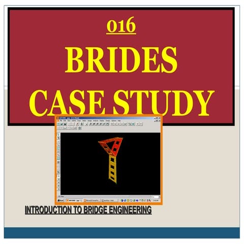 Bridges case studies