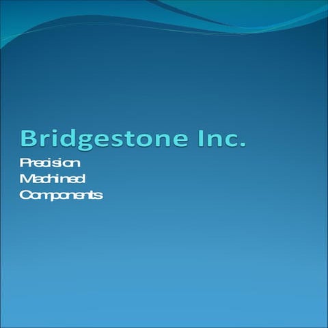 Bridgestone Inc Brochure