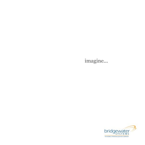 Bridgewater Systems 2008 Marketing Report