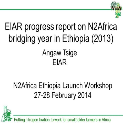 EIAR progress report on N2Africa bridging year in Ethiopia (2013)