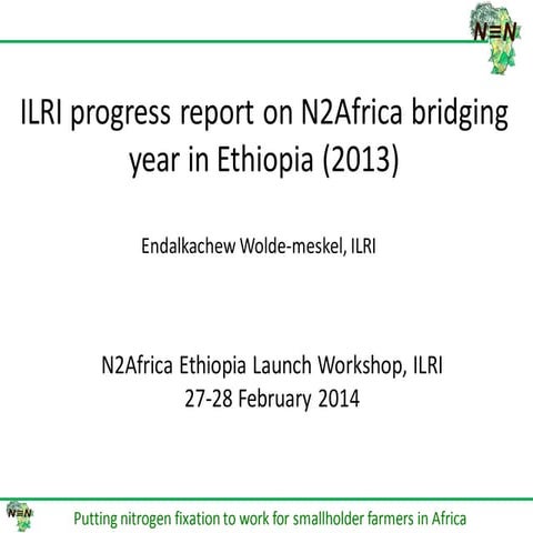 ILRI progress report on N2Africa bridging year in Ethiopia (2013)