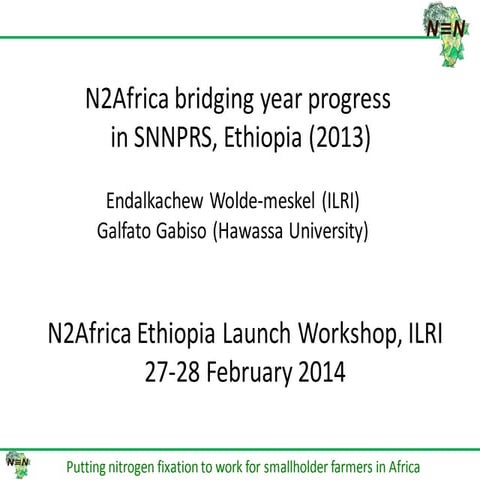 N2Africa bridging year progress in SNNPRS, Ethiopia (2013) 