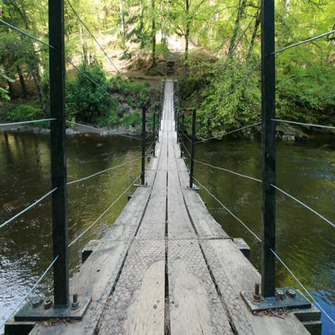 Bridging The Gap &amp; Growing The Family Presentation