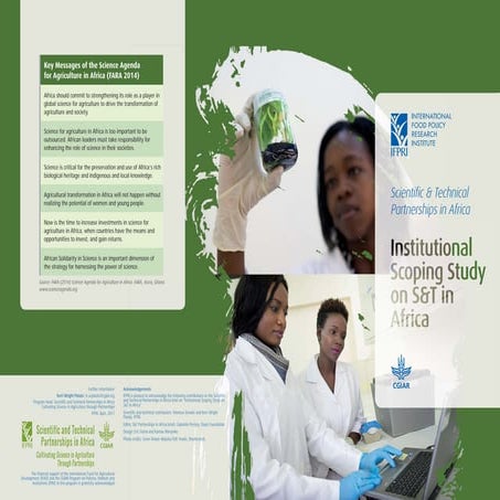 Institutional scoping study on S&T in Africa