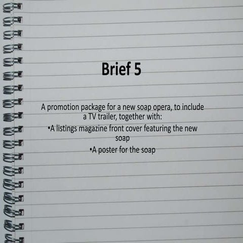 Brief 5