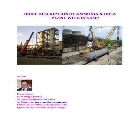 Brief desccription  of ammonia & urea plants with revamp