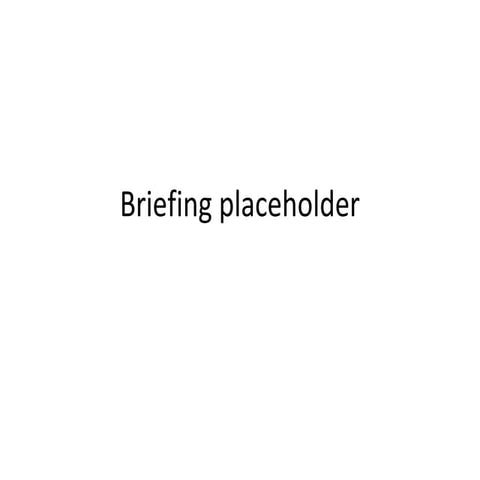 Briefing placeholder