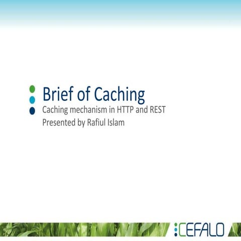 Brief of Caching - Rafiul Islam