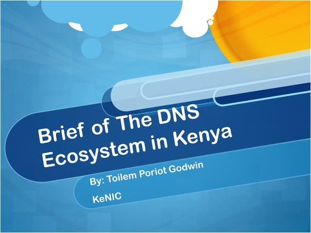 Brief of the DNS ecosystem in Kenya