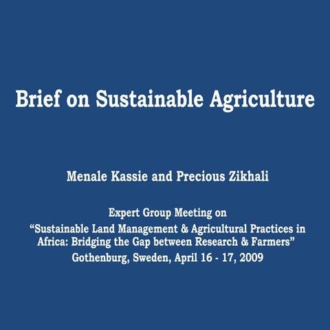 Brief On Sustainable Agriculture Precious Final