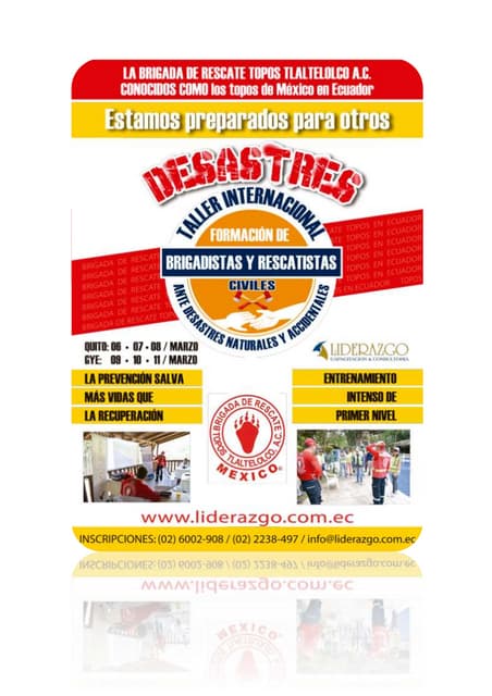 Brief taller internacional formació...