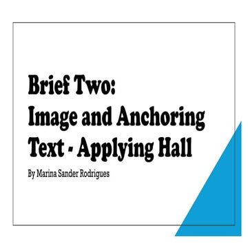 Brief Two: Image and Anchoring Text - Applying Hall.