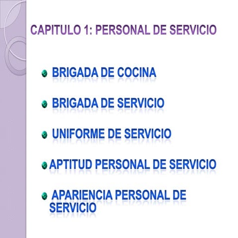 Brigada de servicio (capitulo 1)