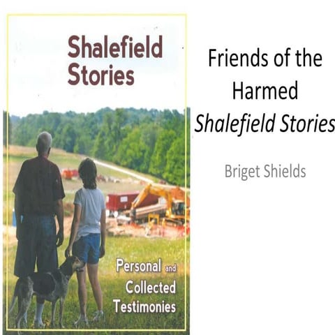Friends of the Harmed: Shalefield Stories