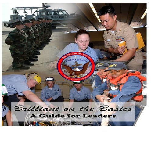 Brilliant On The Basics Reference Guide