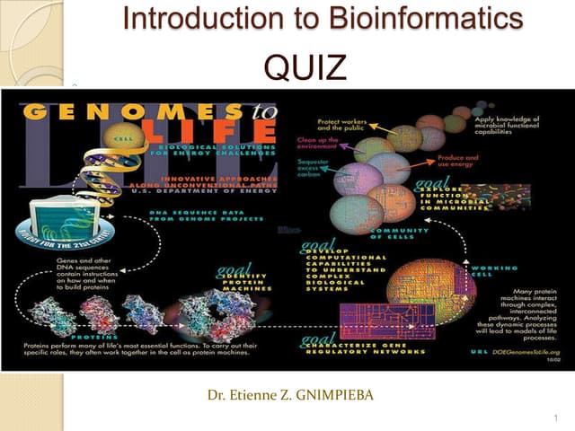Brin bws13 quiz mmc
