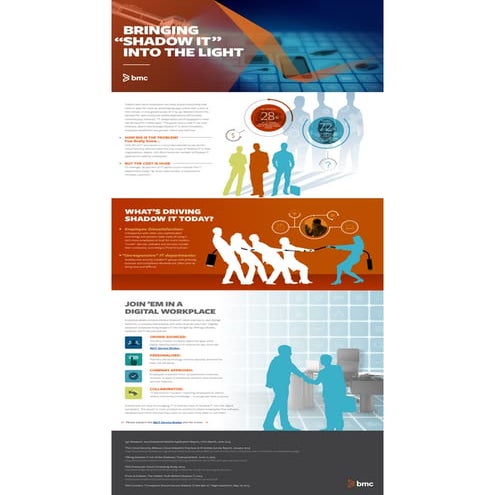 Bringing Shadow IT Into the Light