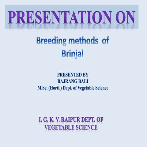 Breeding Methods of Brinjal.