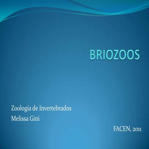 Briozoos
