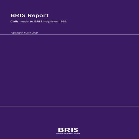 BRIS New Media Campaigns | PPTX
