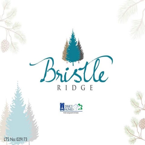 Bristle Ridge - Baguio City, Philippines