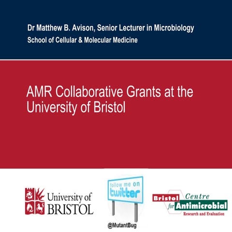 AMR Collaborative Grants at the University of Bristol