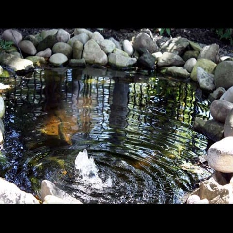 Discovering Your Inner Scientist