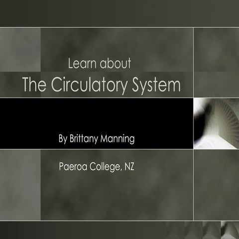 The circulatory system