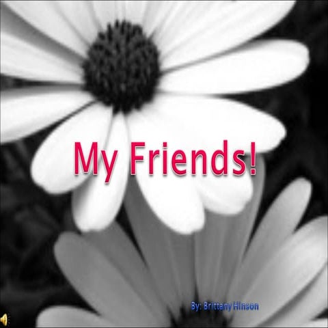 Brittany Hinsons Freinds Presentation