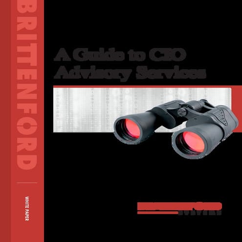 CIO Advisory Services Guide | White Paper from Brittenford Systems