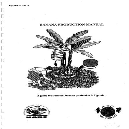 Banana production
