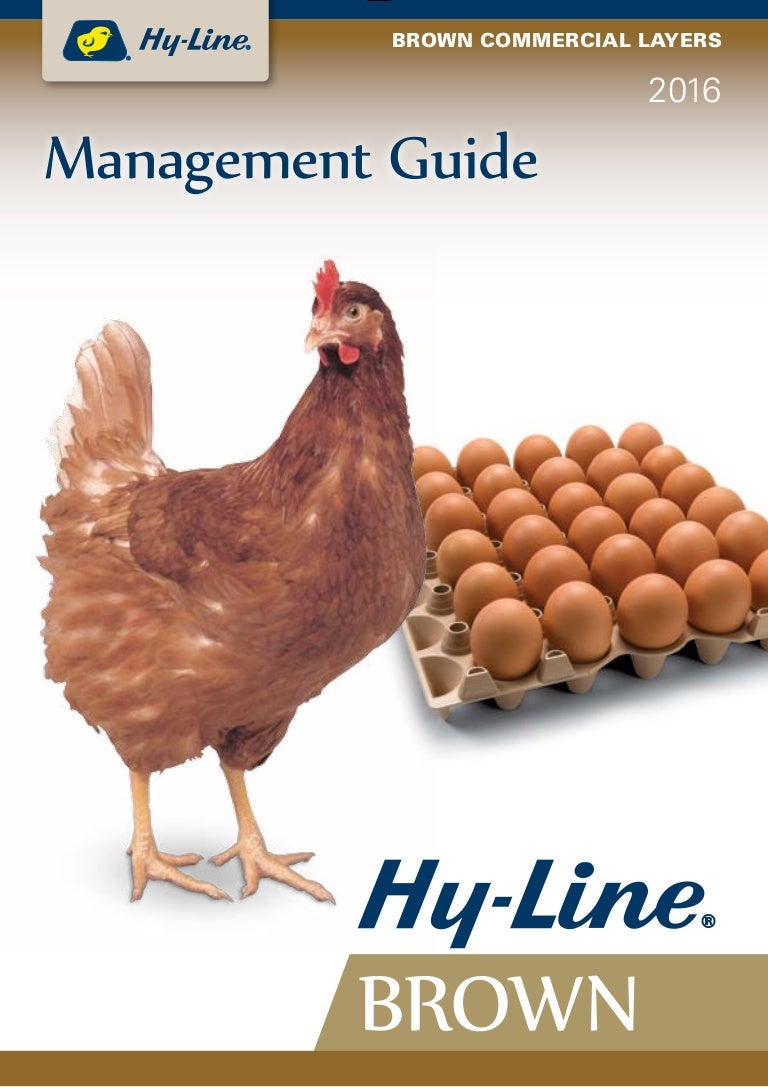Download Hyline Brown Layer Egg Manual