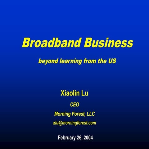 Broadband Access - beyond learning from the US