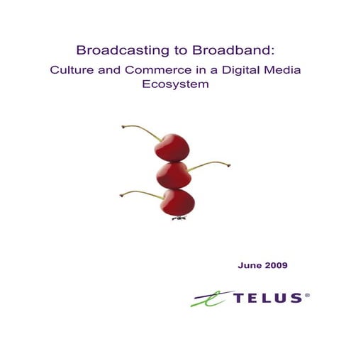 Broadcasting To Broadband Culture And Commerce In A Digital Media Ecosystem F...