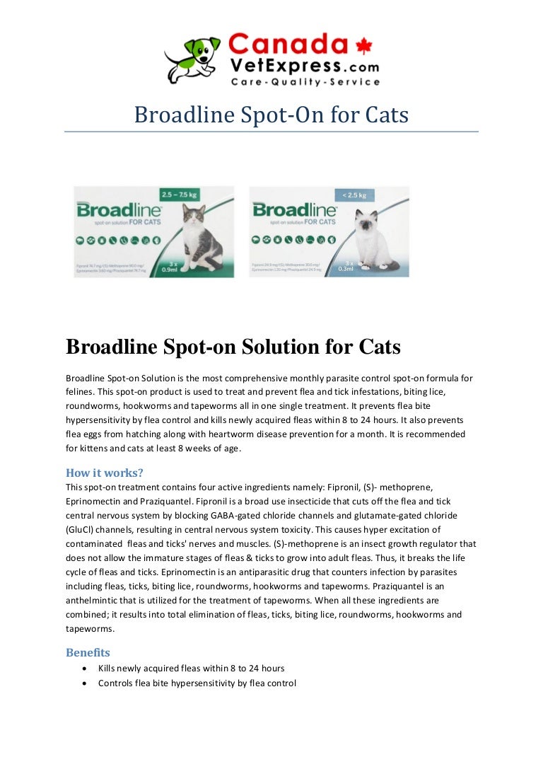 broadline for cats hair loss