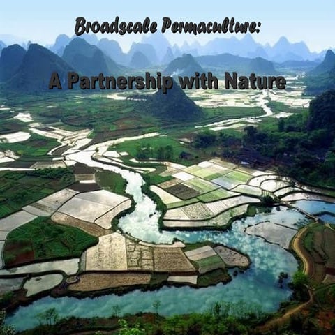 Broadscale systems in permaculture design