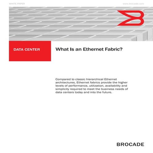 Brocade-The Ethernet Fabrics-wp