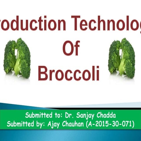 SEED PRODUCTION IN Broccoli (CSK HPKV) by: ajay chauhan