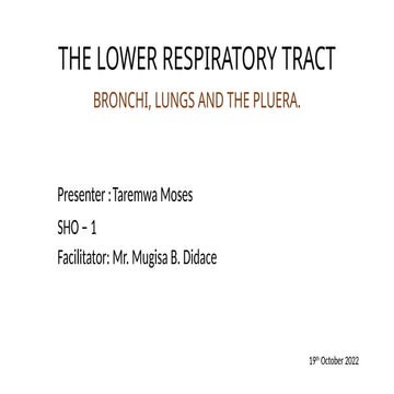 Brochi and the Lung power point presentation.pptx