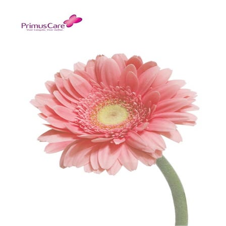 Primus Care - Informação Institucional