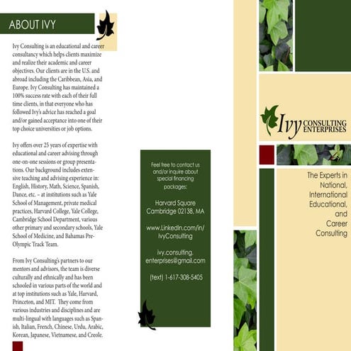 Brochure