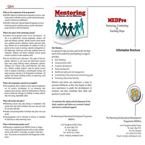 The Mentoring and Educational Development Programme Brochure