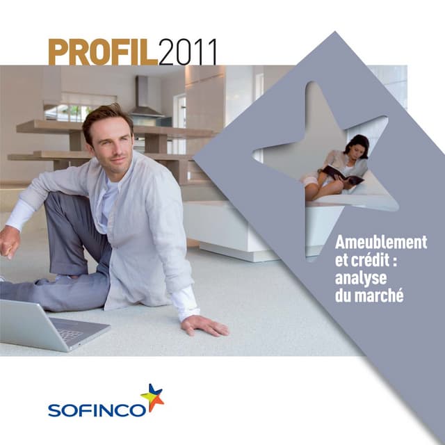 Ameublement et crédit : analyse du marché