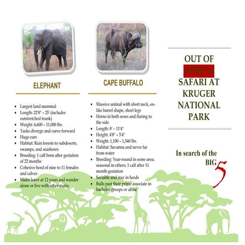 Brochure de africa safari