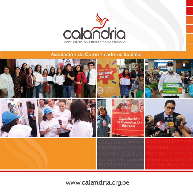 Brochure de servicios CALANDRIA | PDF | Business | Business and Finance