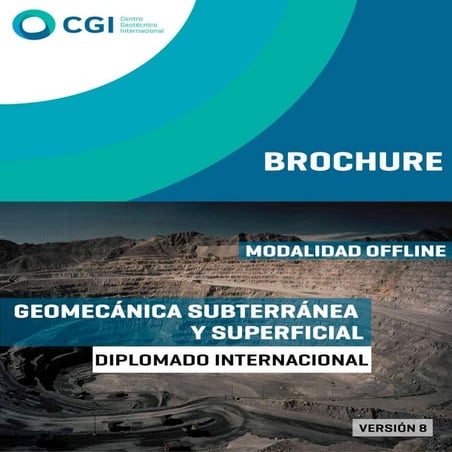 Brochure DGSS.pdf
