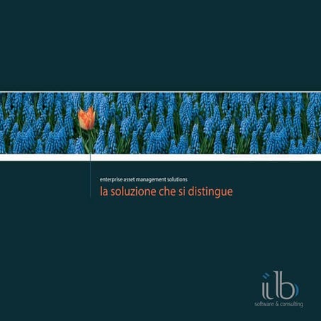 Brochure IB