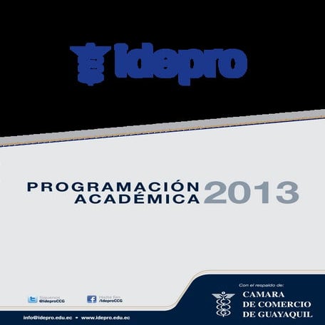 Programación Académica 2013