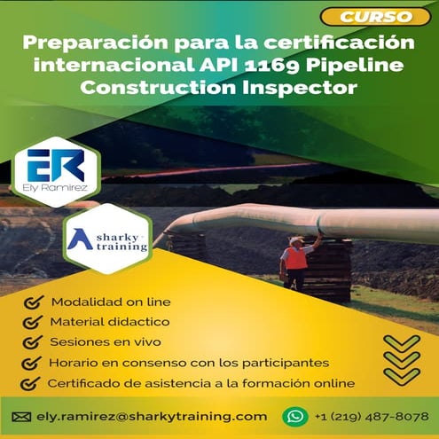 Brochure Preparación para la certificación internacional API 1169 ...